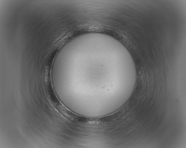X0000080150744200701051539