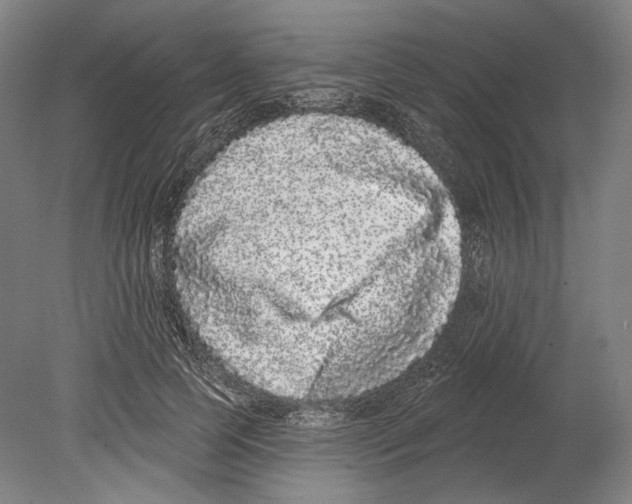X0000080150745200701051539