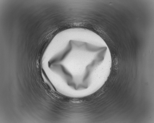 X0000080150746200701051539