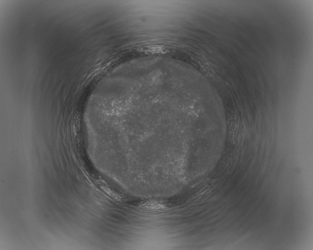 X0000080150747200701051539