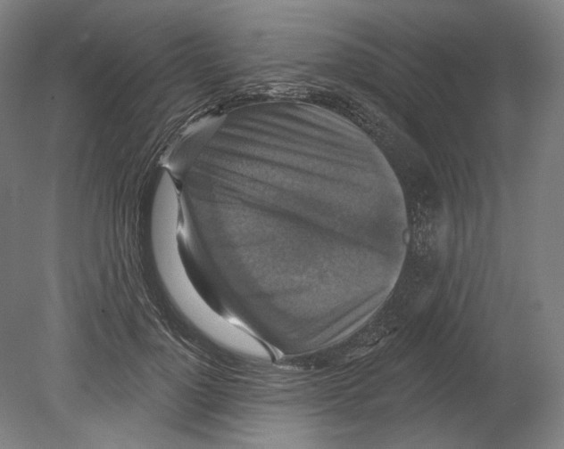 X0000080150748200701051539