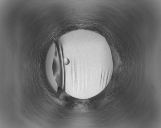 X0000080150750200701051539