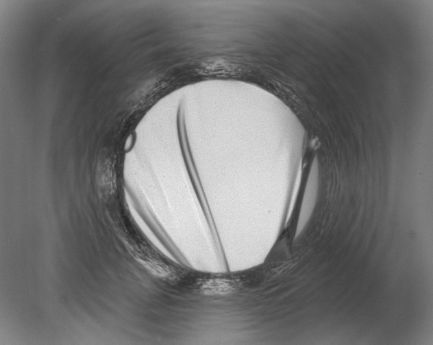 X0000080150751200701051539