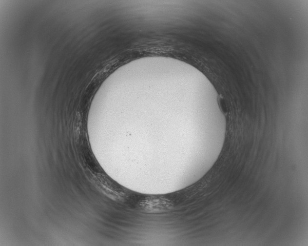 X0000080150752200701051539
