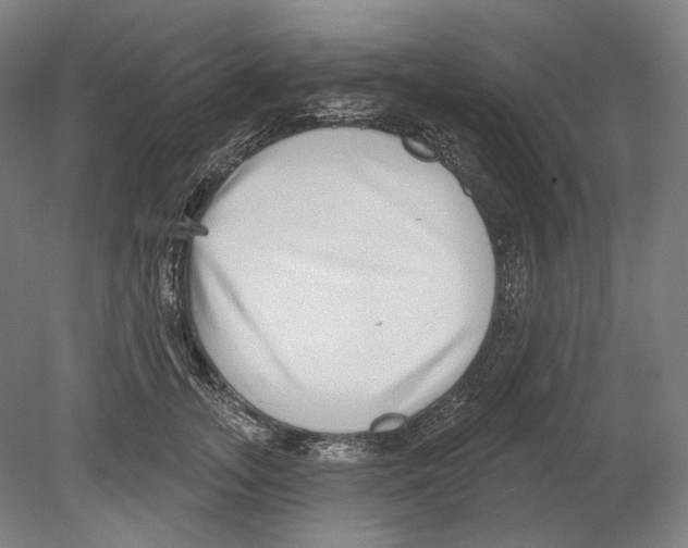 X0000080150755200701051539