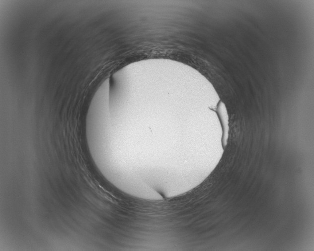 X0000080150756200701051539