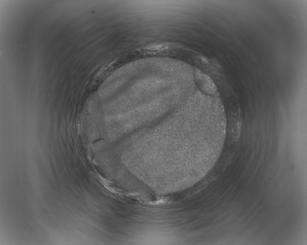 X0000080150758200701051539