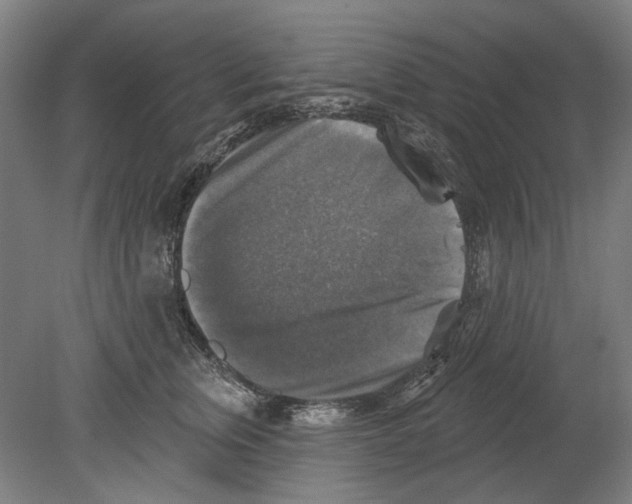 X0000080150759200701051539
