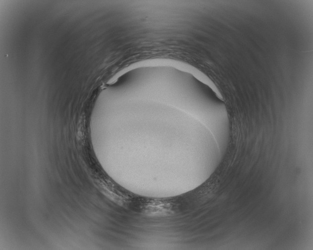 X0000080150760200701051539