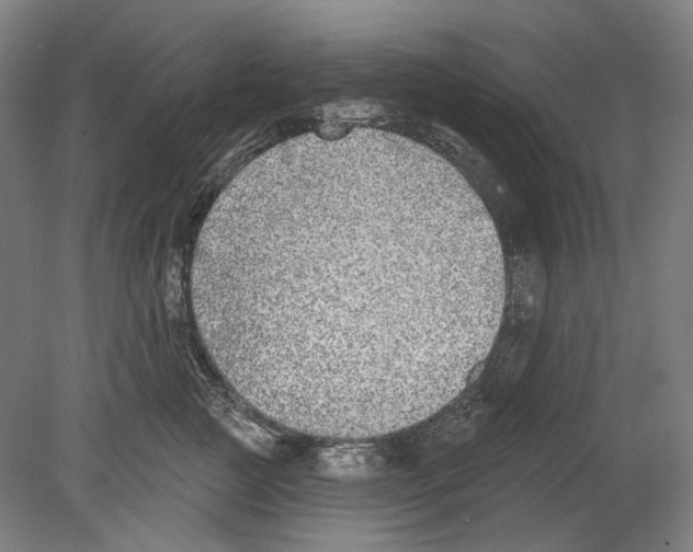 X0000080150761200701051539