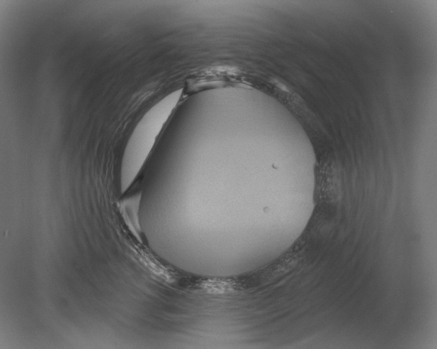 X0000080150762200701051539