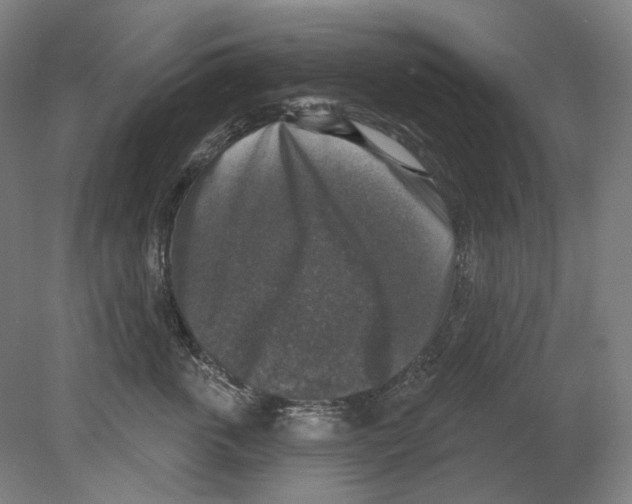X0000080150763200701051539