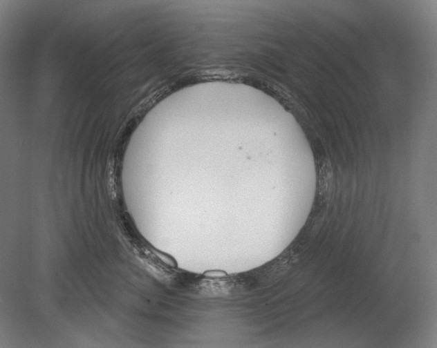 X0000080150764200701051539