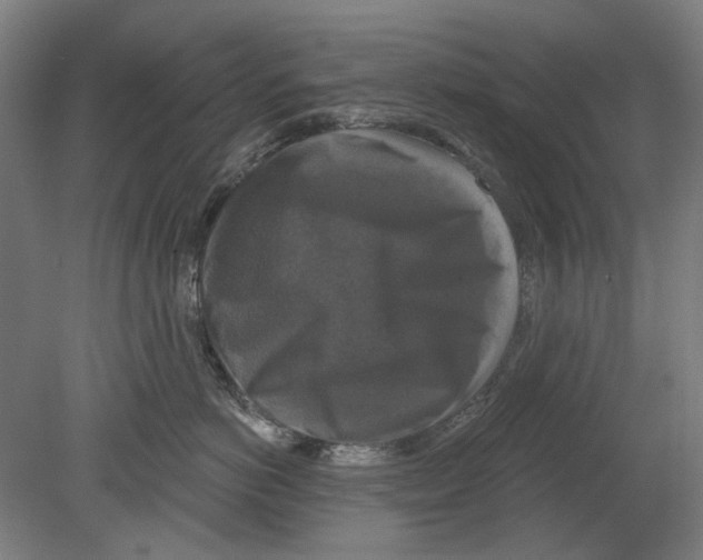 X0000080150766200701051539
