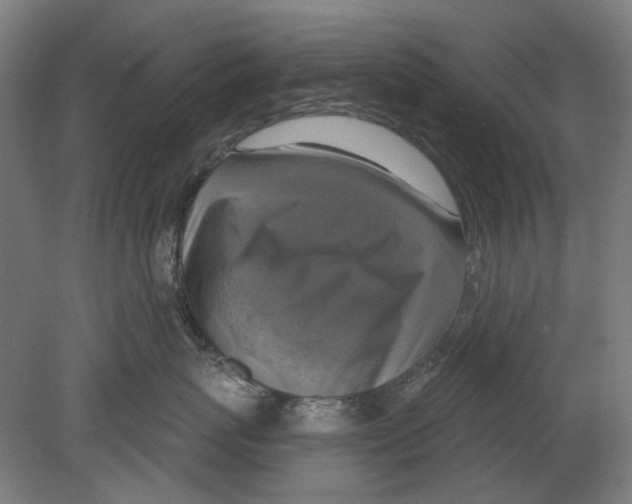 X0000080150767200701051539