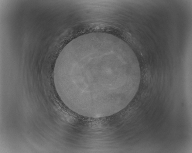 X0000080150769200701051538