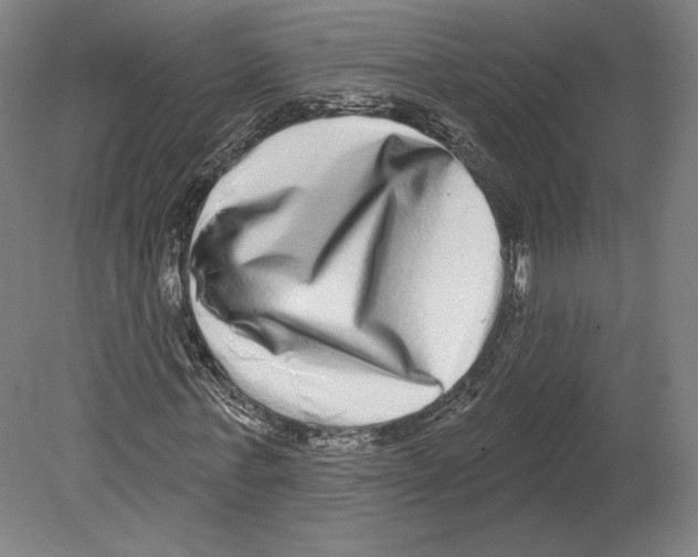 X0000080150771200701051538