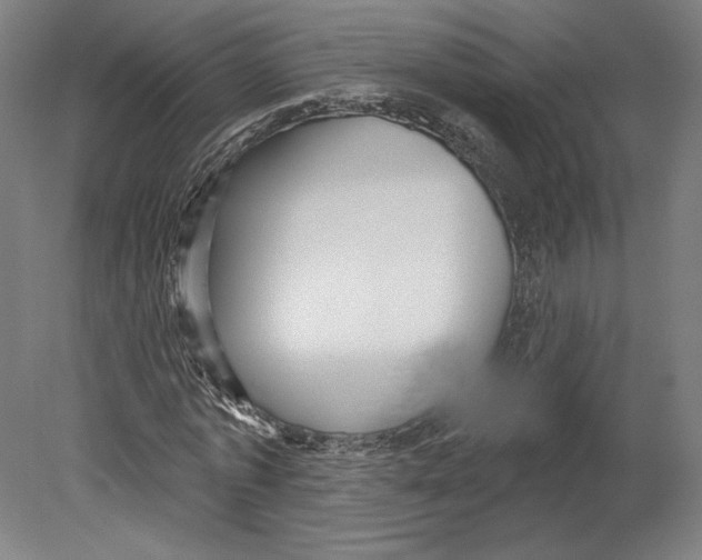 X0000080150773200701051538