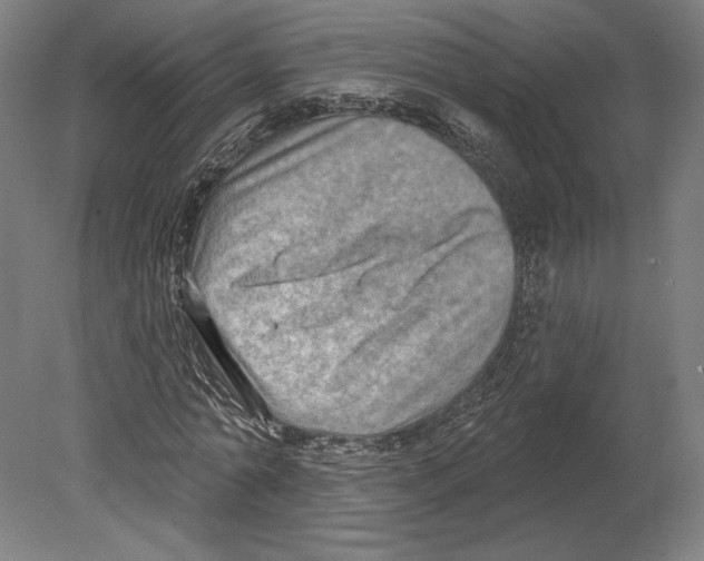 X0000080150774200701051538