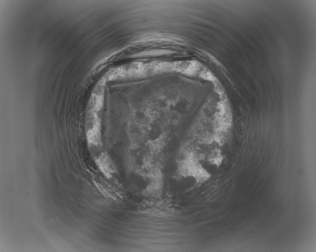 X0000080150775200701051538
