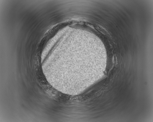 X0000080150776200701051538