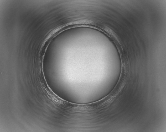 X0000080150781200701051538