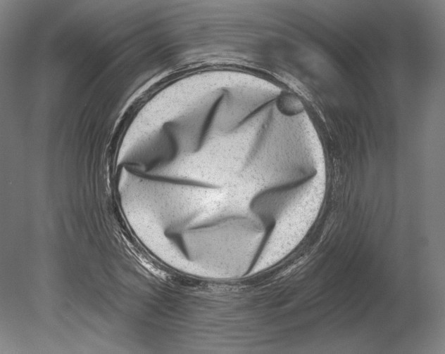 X0000080150782200701051538