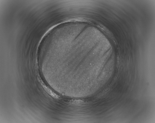 X0000080150784200701051538