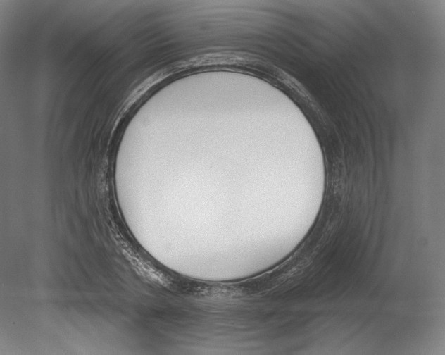X0000080150786200701051538