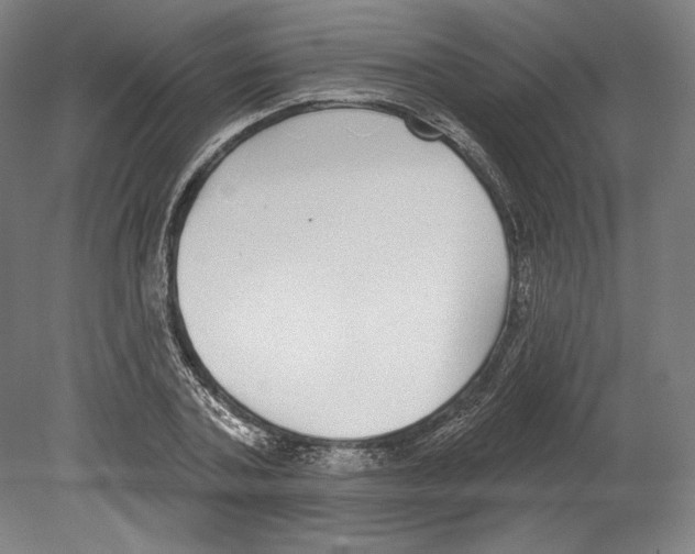 X0000080150787200701051538