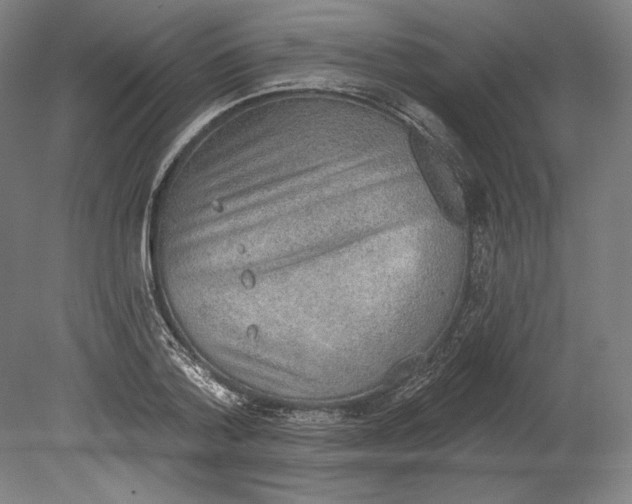 X0000080150788200701051538