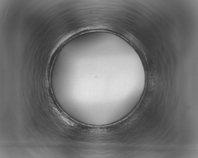 X0000080150789200701051538