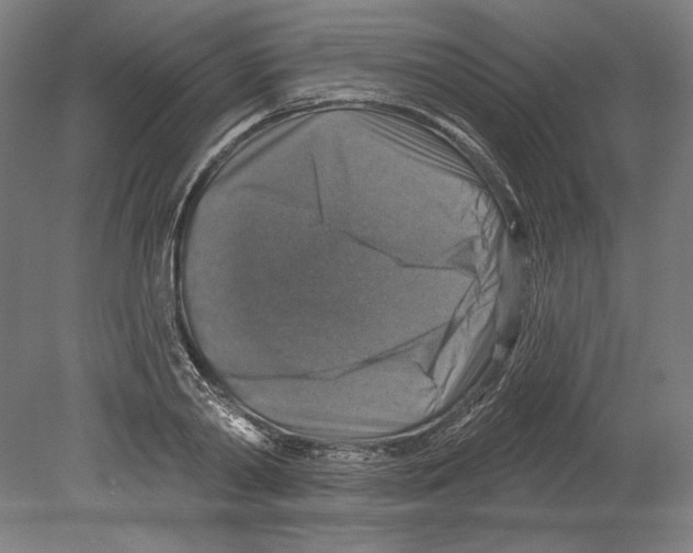 X0000080150790200701051538