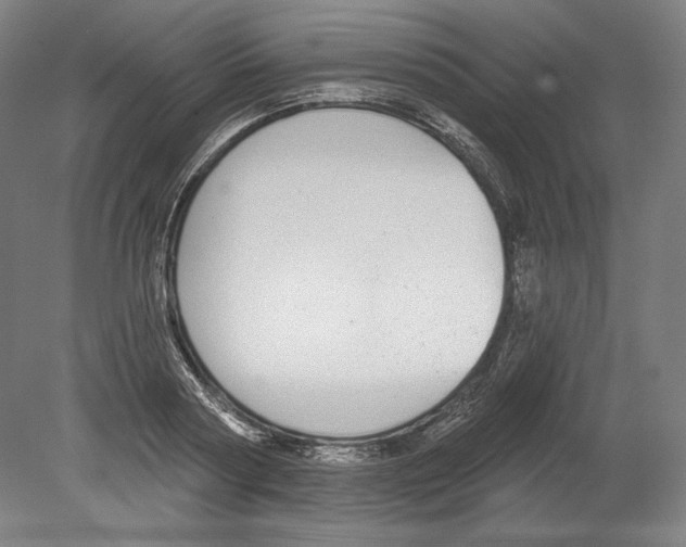 X0000080150794200701051538