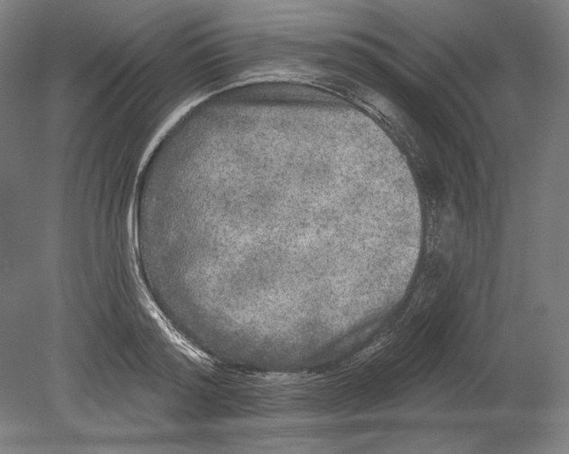 X0000080150796200701051538