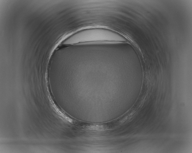 X0000080150797200701051538