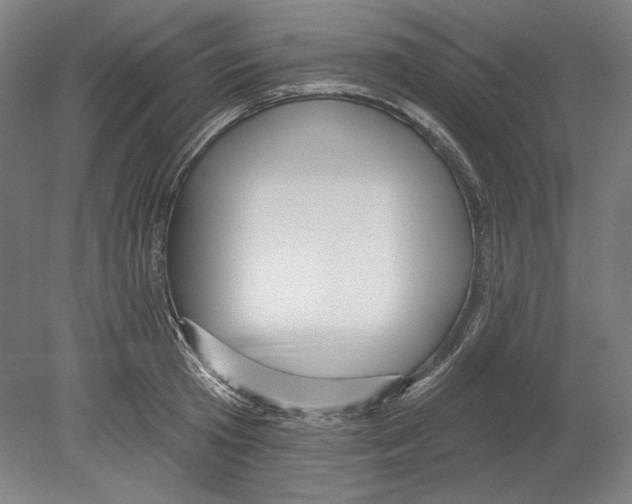 X0000080150801200701051538