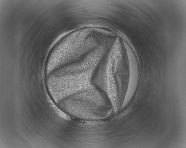 X0000080150803200701051538