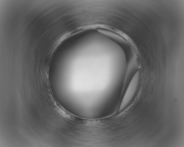 X0000080150809200701051538