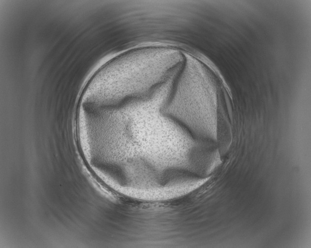 X0000080150811200701051538