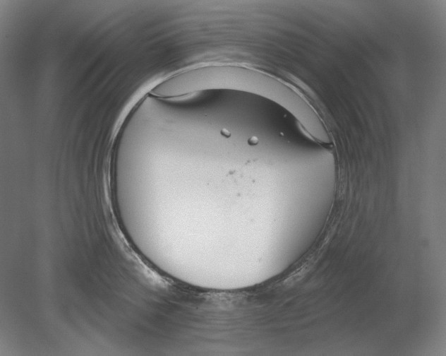 X0000080150812200701051538