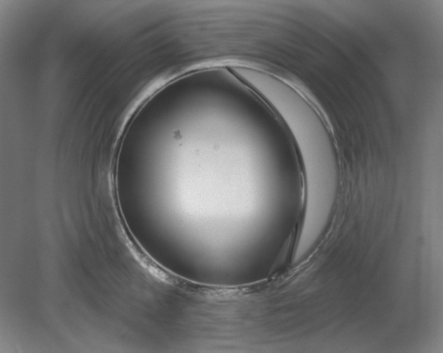 X0000080150813200701051538