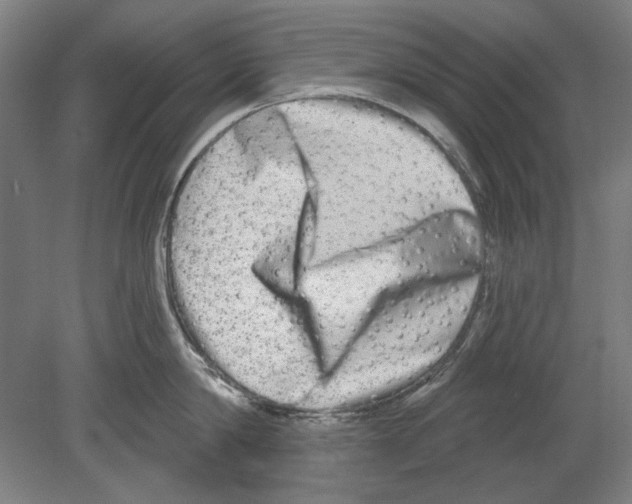 X0000080150814200701051538