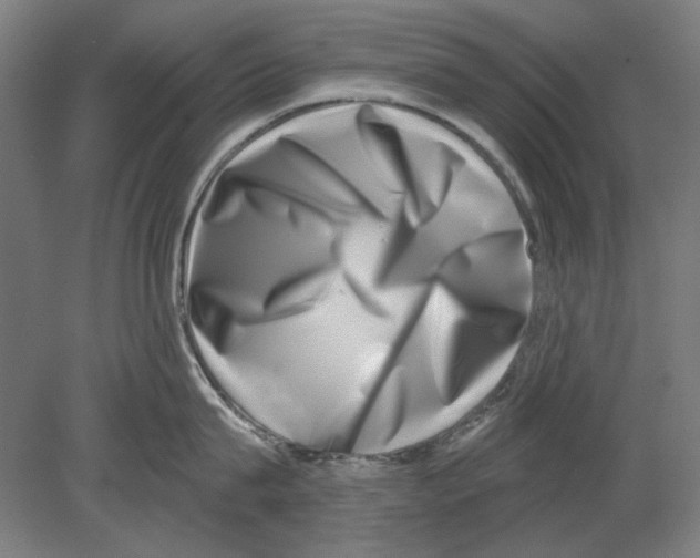 X0000080150815200701051538