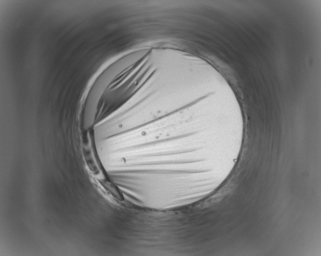 X0000080150816200701051538
