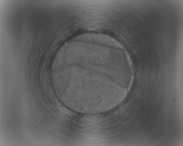 X0000080150817200701051537