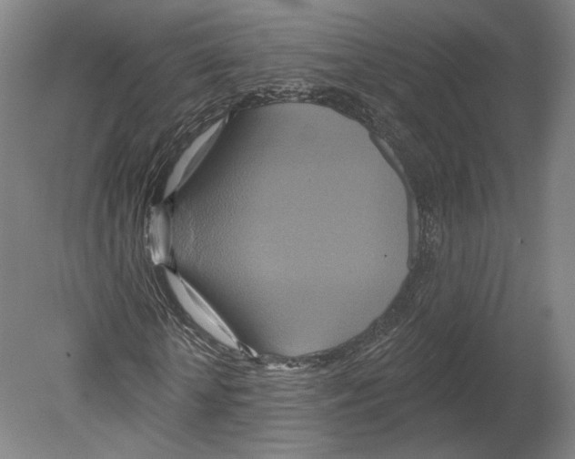 X0000080150818200701051537