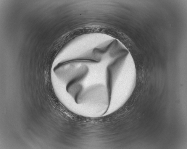 X0000080150821200701051537