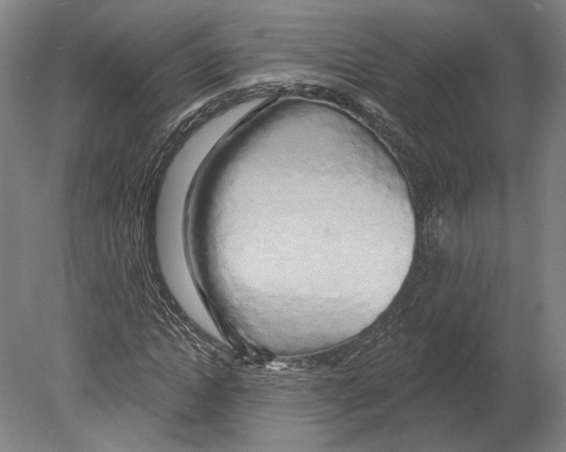 X0000080150822200701051537