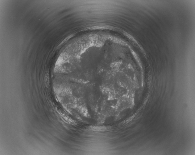 X0000080150825200701051537